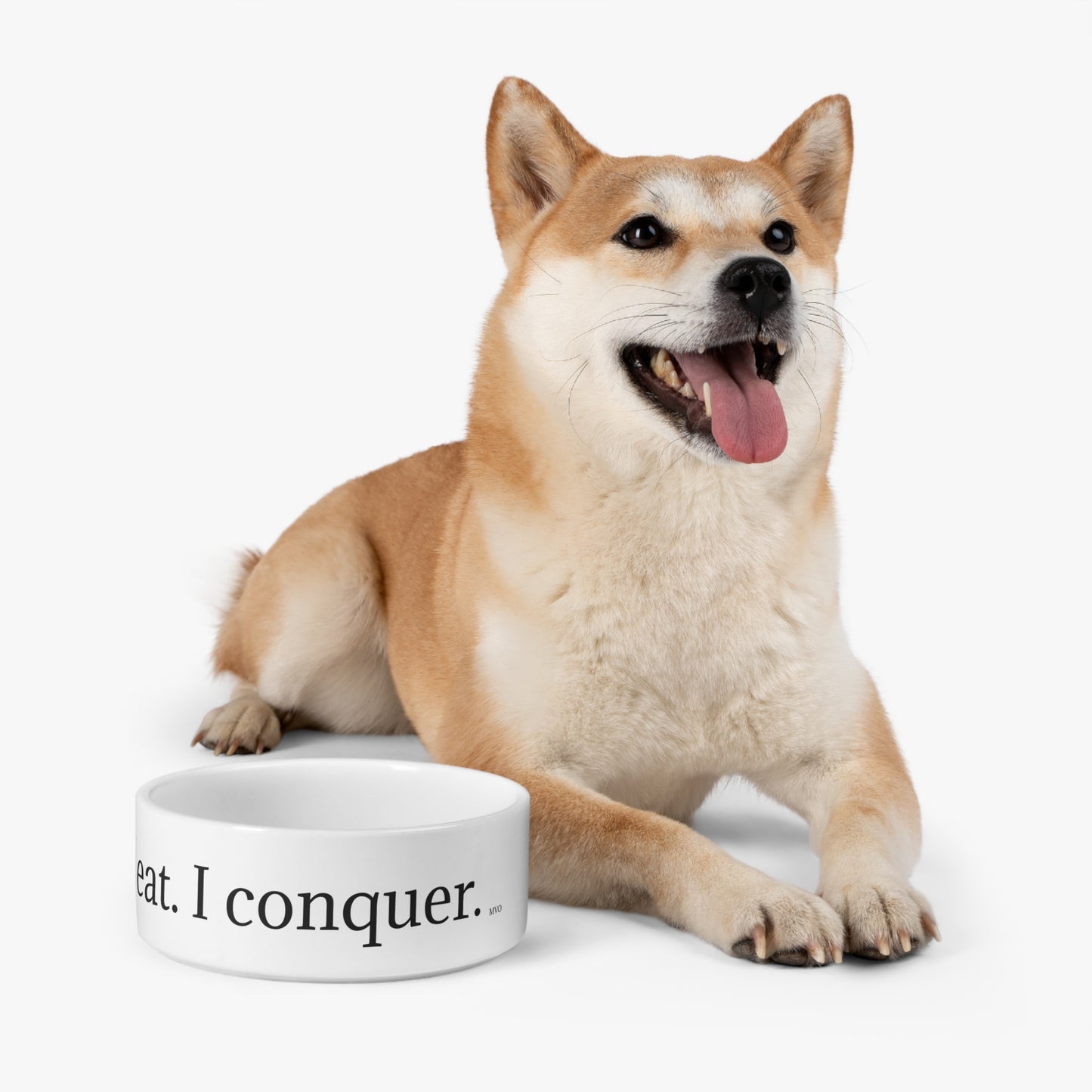 I eat. I conquer. | Pet Bowl
