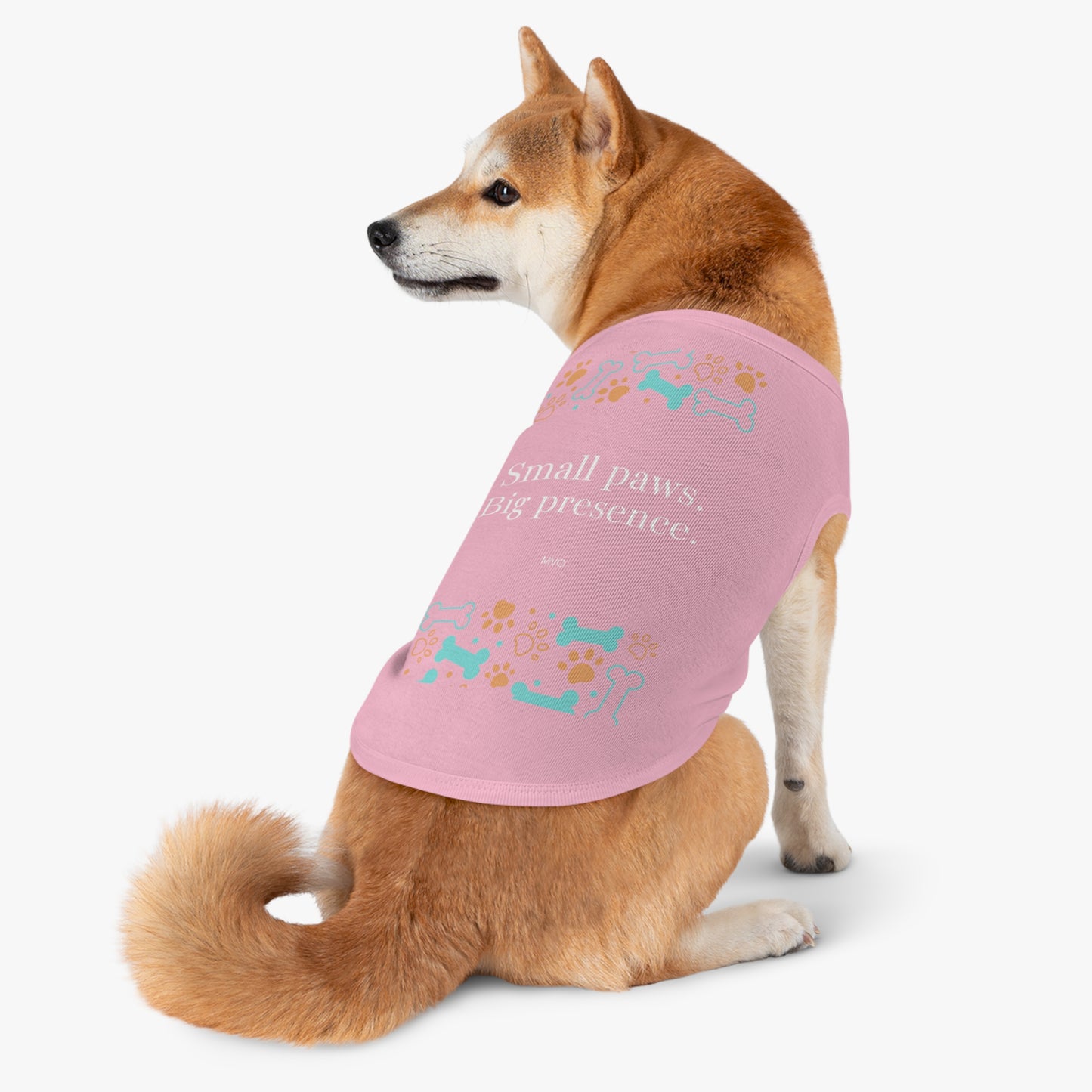 Small Paws, Big Presence | Pets Apparel