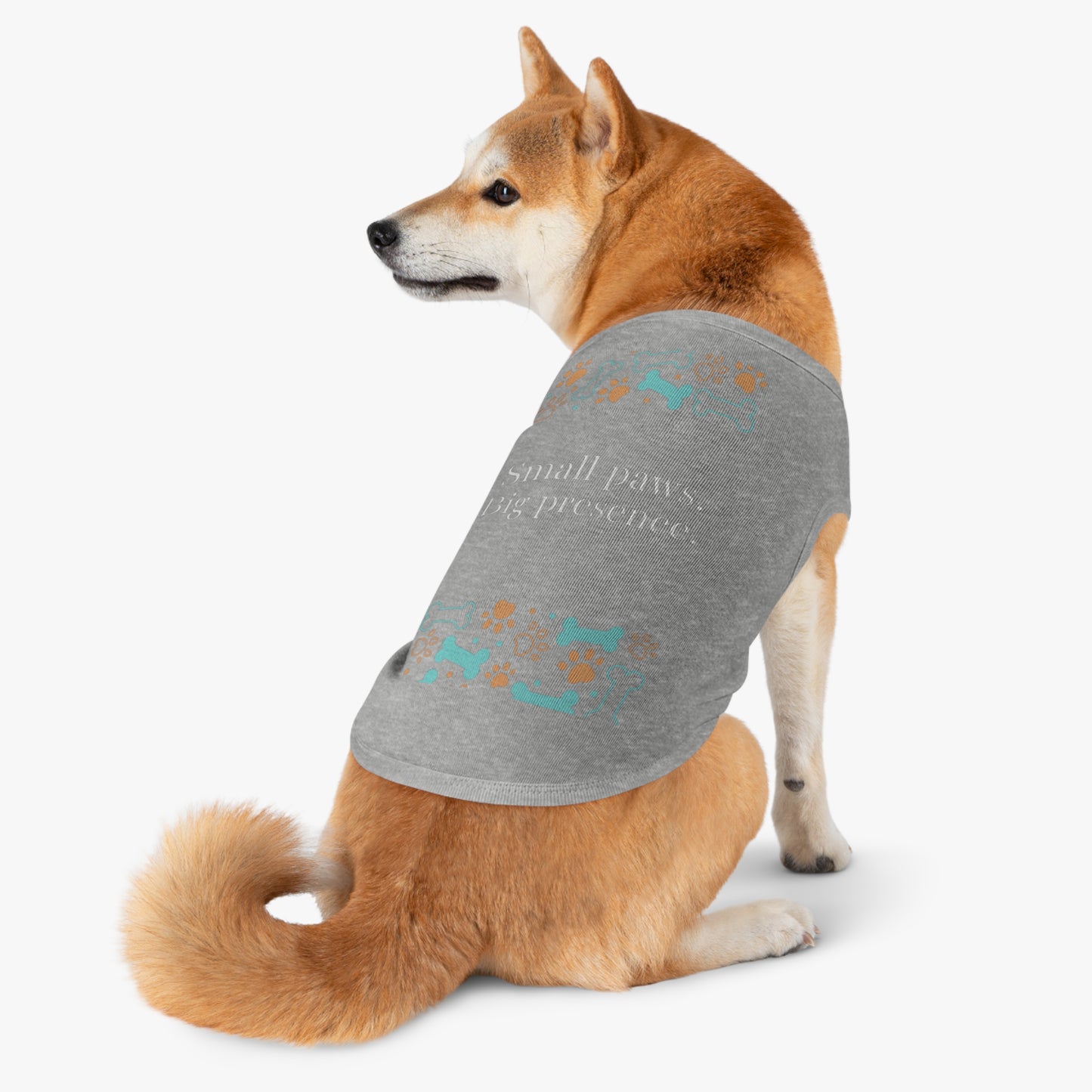 Small Paws, Big Presence | Pets Apparel