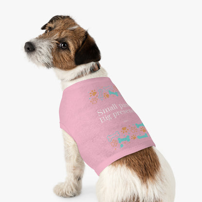 Small Paws, Big Presence | Pets Apparel