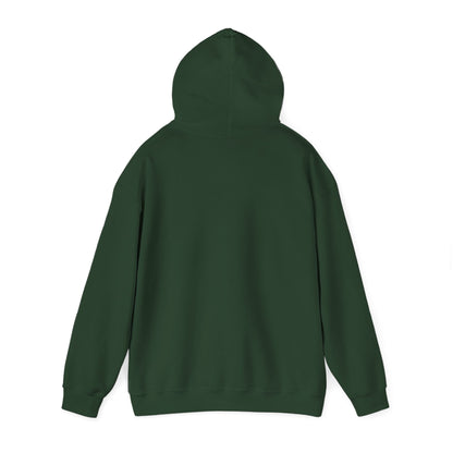 Oversized hoodie, oversized ambition. | Cozy Hoodie
