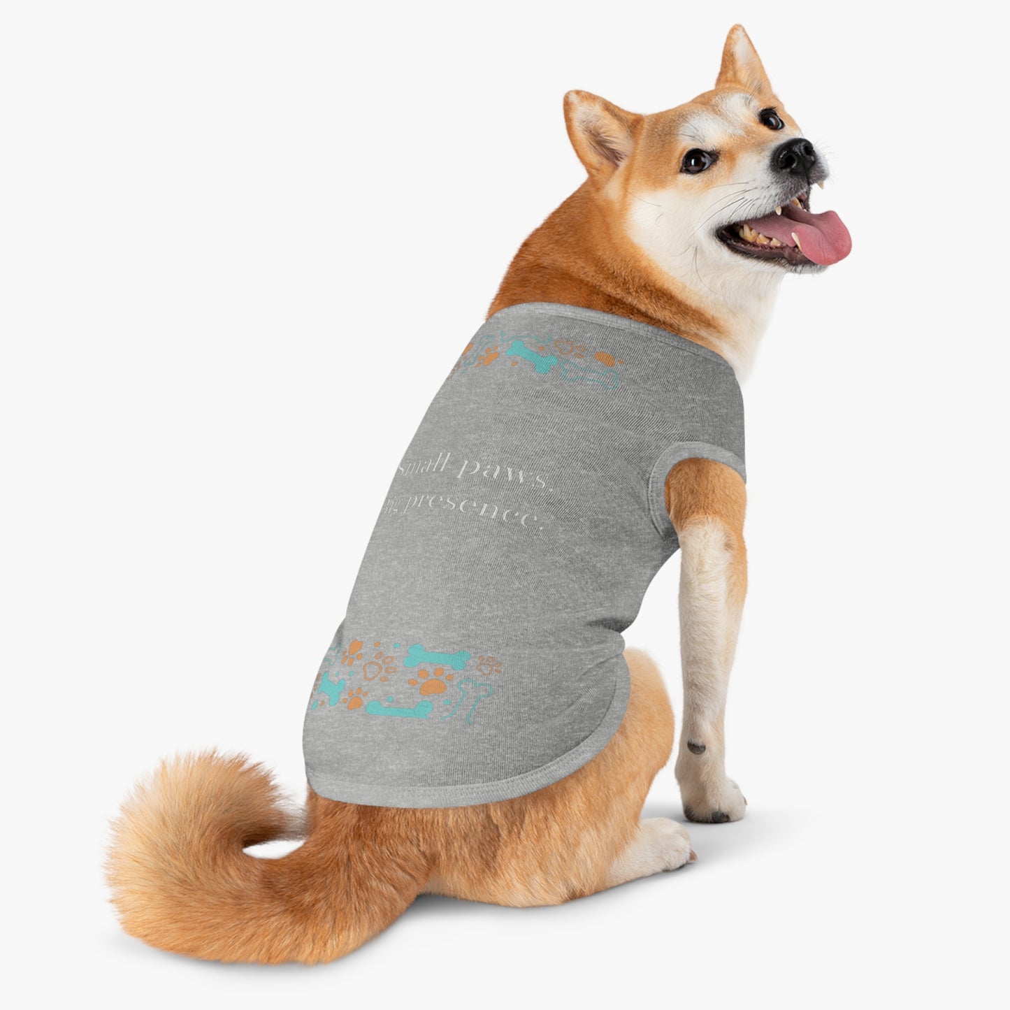 Small Paws, Big Presence | Pets Apparel