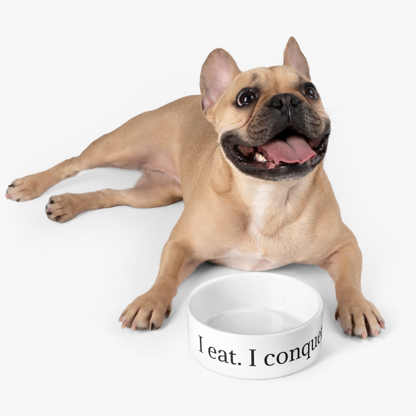I eat. I conquer. | Pet Bowl