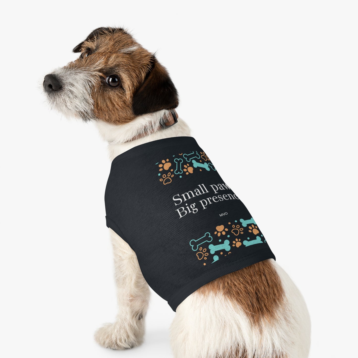 Small Paws, Big Presence | Pets Apparel